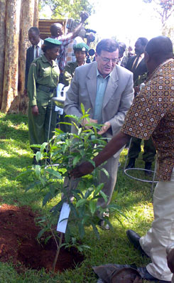 Ministeri Paavo Vyrynen istuttaa puuta Kenian matkallaan marraskuussa 2008 Merussa. Hnt avustaa Kenian mets- ja luonnonvaraministeri Noah Wekesa.
