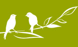 Bd-logo linnut