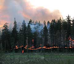 Metsien polttamista Ruunaalla