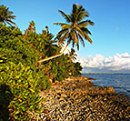 Tyynenmeren eksoottinen saari
