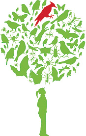 Luonnon monimuotoisuus logo 