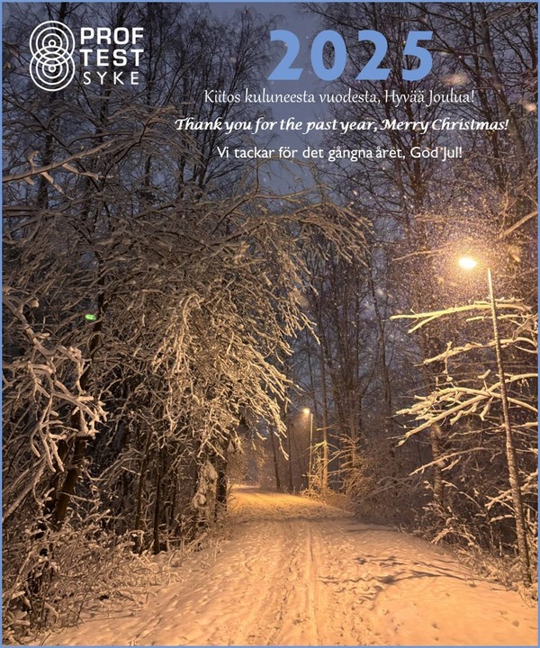 Christmas wishes 2025